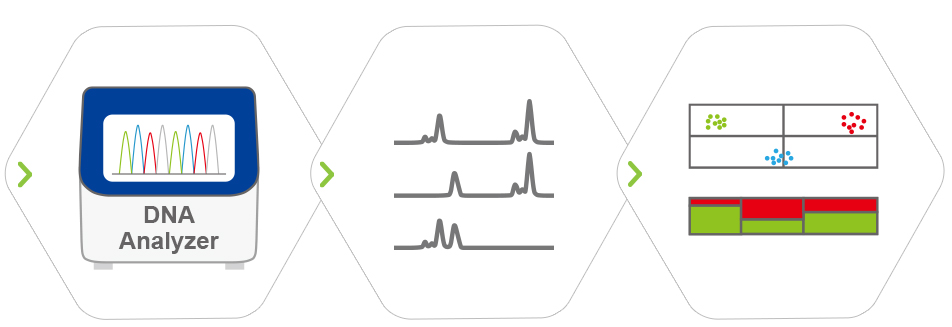 Analysis of genotypes