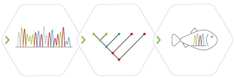 Analysis of DNA barcoding